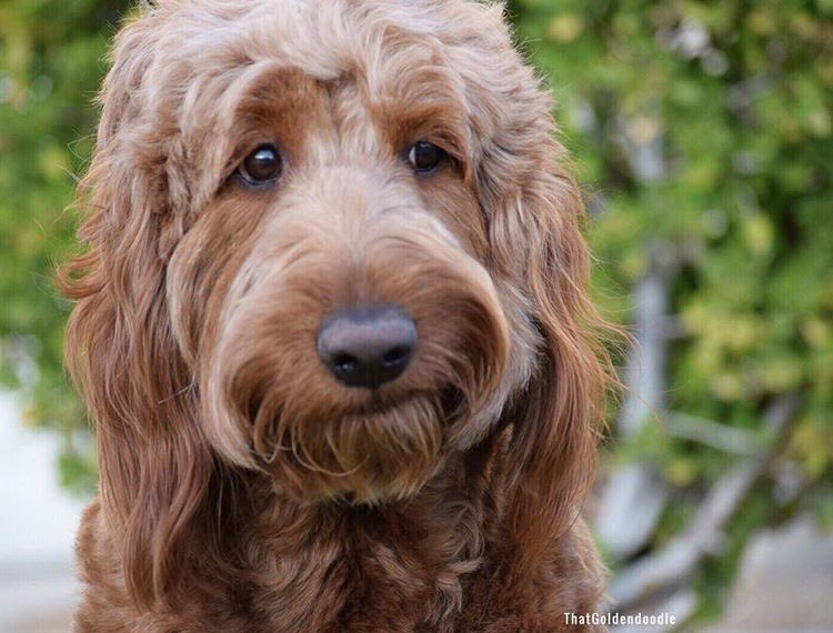 When you remember you have to go back to work tomorrow