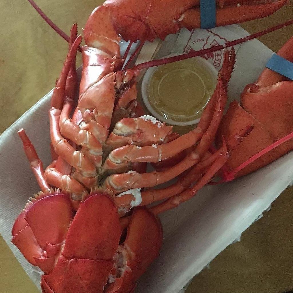 woodmans_essex's tweet photo. Boiled lobster with melted butter ππ»ππ»ππ»β€οΈβ€οΈβ€οΈ @woodmans_of_essex #lunch #essex #massachusetts #boston #travels #woodmansofessex #lobster #fresh #delicious #seafood #food #foodie #foodlover #bostonfoodieguide #bostonfoodgram #eat #seafoodlover https://t.co/okLP6YVNa7 https://t.co/qDhHeqVuiQ