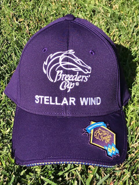 AfterFinishLine's tweet photo. Auction ends today starting at 2p PT/5p ET staggered at approx. :00  :05  :10  :15.  Easier to try to win hats u want. All proceeds benefit OTTBs. ATFL awards year round grants to aftercare orgs across the USA that save, rehab, re-train &amp; re-home OTTBs. https://t.co/LFfcIrW1dj https://t.co/Day2MCUSEw