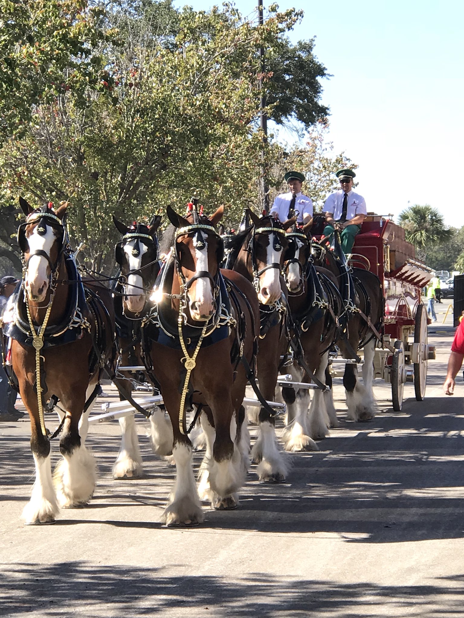 Kristen Inman on Twitter "What a great surprise outing today as my