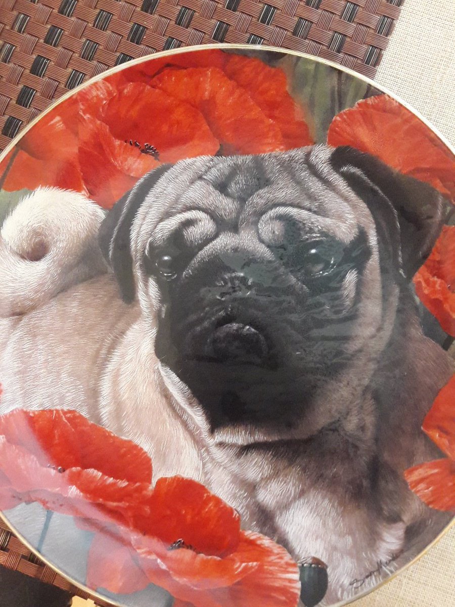 La comida sabe mejor cuando uso este plato