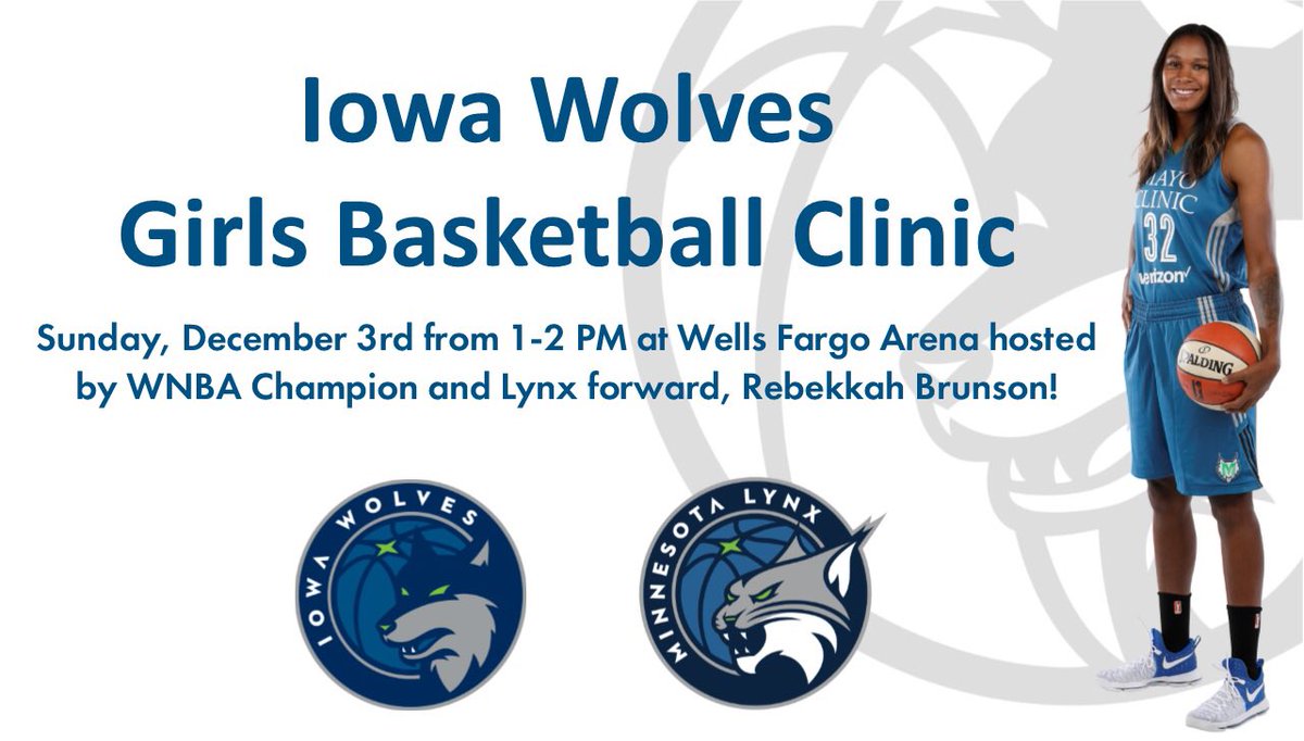 Mosley41's tweet photo. If you’re in the DSM Metro area & love women’s 🏀, you don’t want to miss the opportunity to meet @minnesotalynx @twin1532 at 🆓 🏀 Clinic with purchase of game 🎟 #MNLynxInIowa #WNBAHoops #IowaGirlsClinic #LynxWolvesConnection https://t.co/dfnE2P8UZg