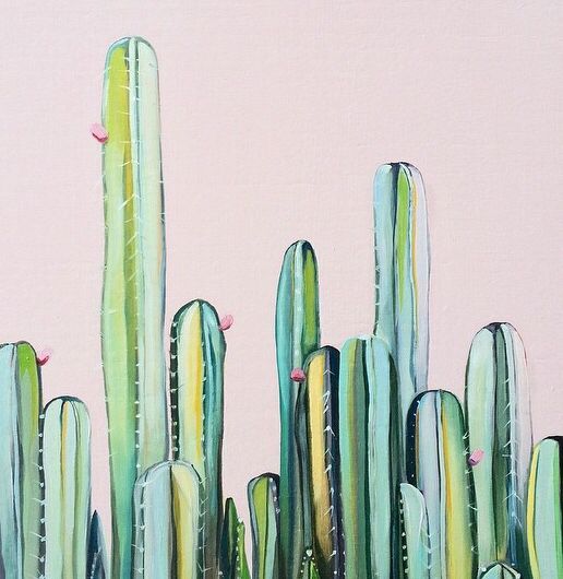 Cactus is our aesthetic for life 🌵💕