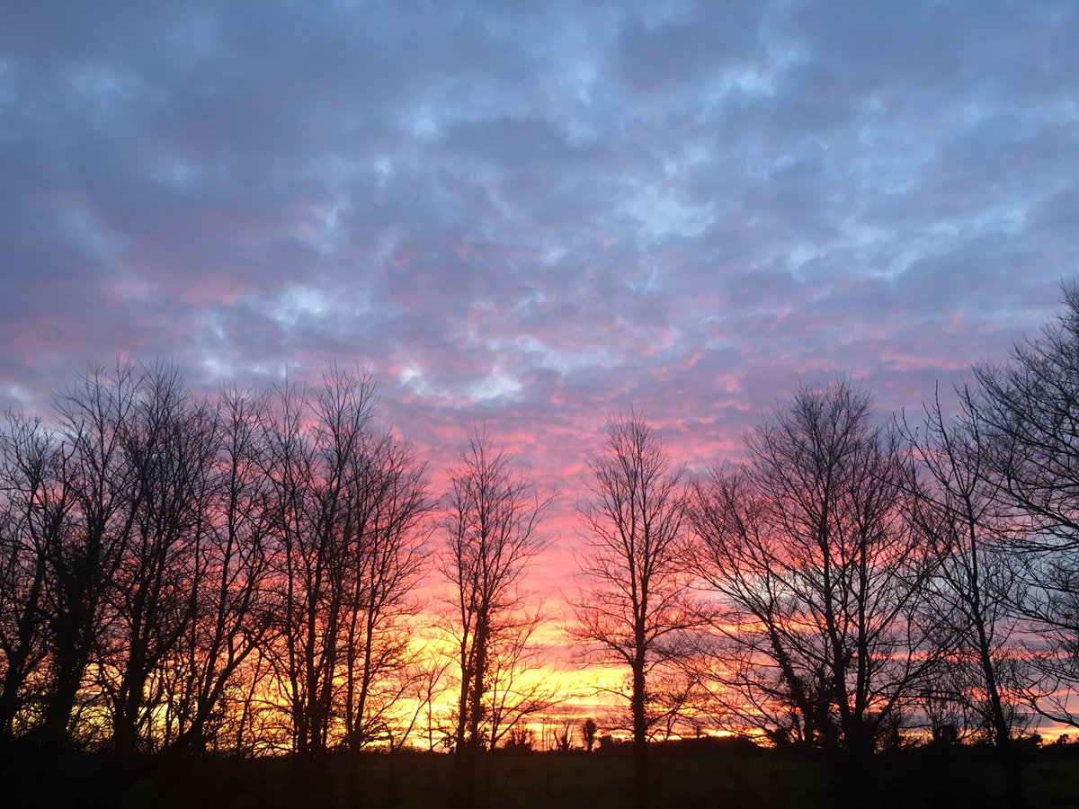 Clavid2012's tweet image. Sunset #wexford