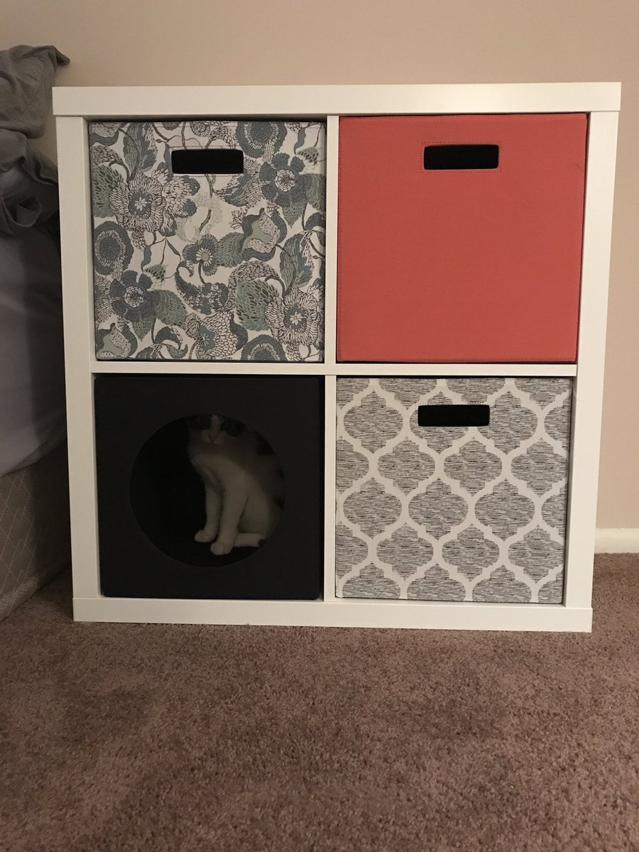ClariceBWells's tweet photo. We bought the whole shelf just so Millie could have a box... and I️ am no ashamed https://t.co/u1IxkR5gw1