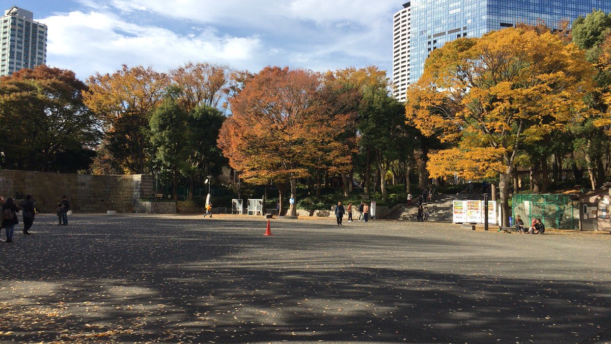 なっく V Twitter 昨日は新宿中央公園でスケボーでした 天気も