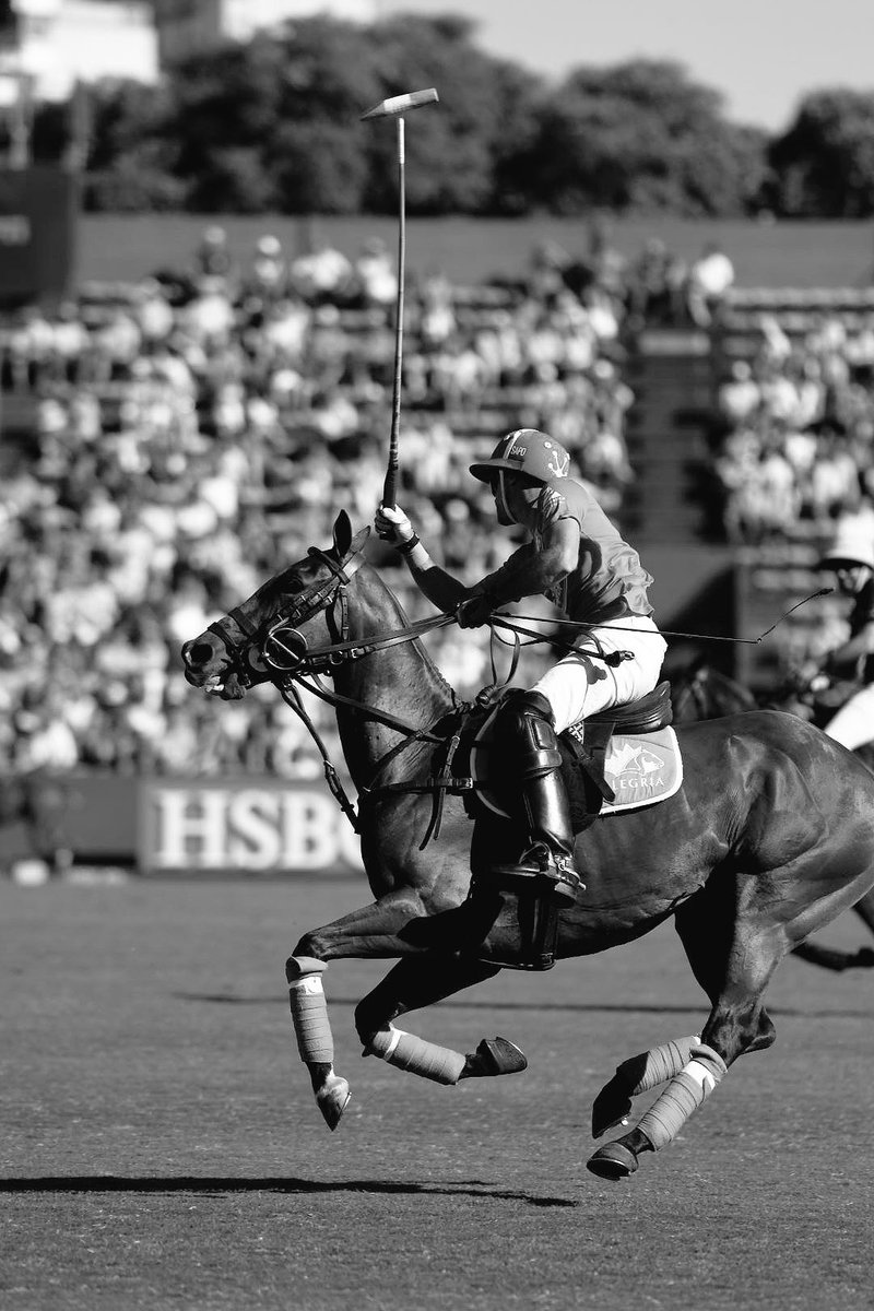 maxleitner's tweet photo. Check out my instagram @maxleitner and see what's happening in Buenos Aires and the rest of Argentina! #argentina #polo #summer https://t.co/nTbVvdGpC5