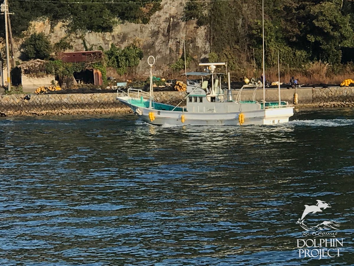 Dolphin_Project's tweet photo. Taiji: Dolphin Project Cove Monitors are happy to report that all 12 banger boats have returned and that it is a BLUE COVE day! 11-27-17 8:38am #dolphinproject 

Be a voice for the voiceless: 
TAKE ACTION: https://t.co/BkupXm02TP https://t.co/CwuY02ZeSf