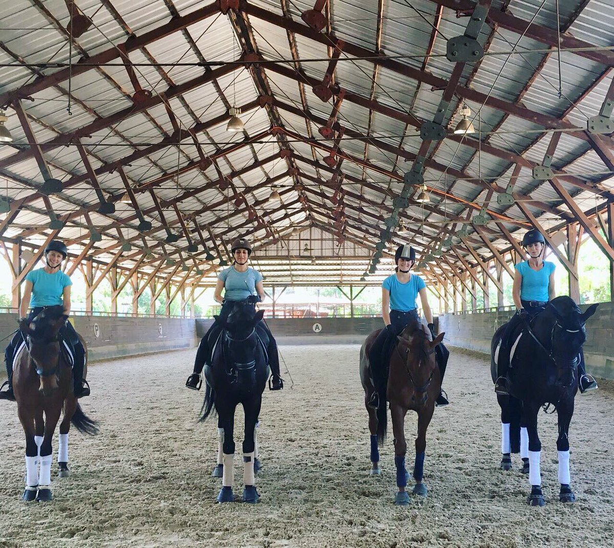 VirginiaYarur's tweet photo. Blue Sunday 🔵🐴🔵
We all turned up to training in light blue today! 😅👌🏻
#dressage #dressagehorse #training #bluesunday #blue #twohearts 
@FEI_Global @TeamChile @ESP_GDF @tryon2018 https://t.co/3DufXKedSp