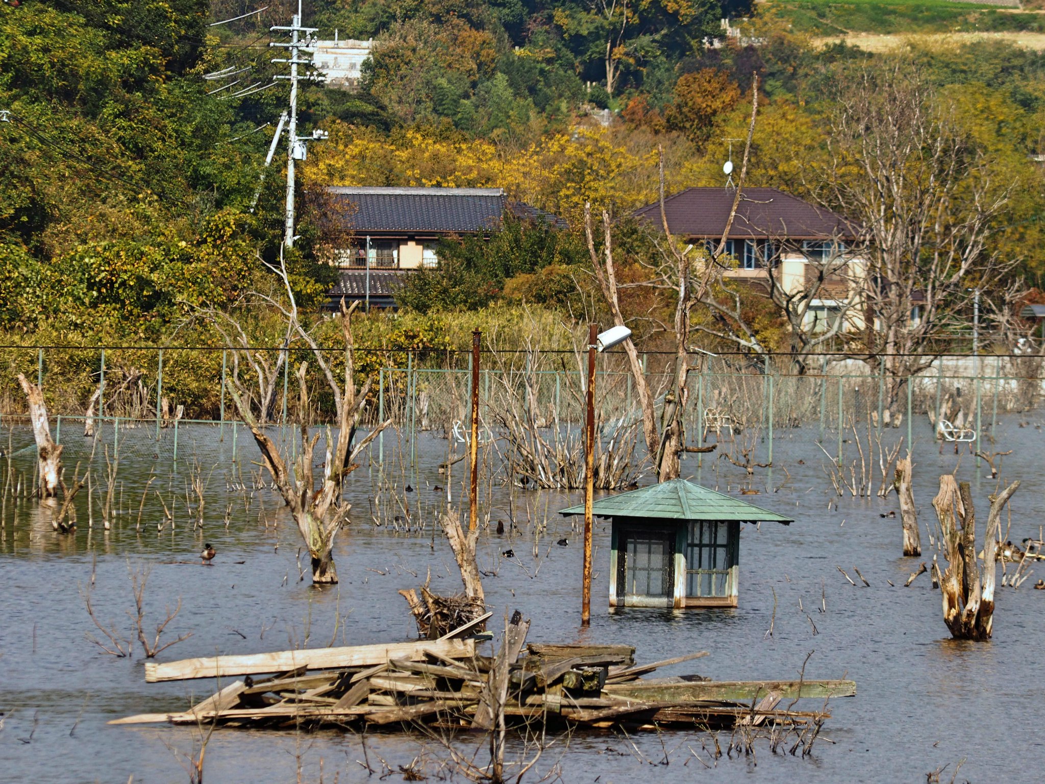 岡山の街角から 公式 以前ご紹介した瀬戸内市の通称 水没ペンション村 先日 近くを通ることがあり 写真を撮ってきたのでご紹介します 尚 現地は嫌になるほどのユスリカがいるので 実際に行くことは全くオススメしません