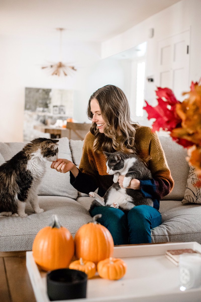 AlyssCampanella's tweet image. Today is the last day for @zappos‘ “Home for the #Pawlidayz”! #Zappos will be covering adoption costs at pre-selected shelters for approved adopters! Find your @animalleague shelter and more info at zps.to/bOzixEJ9 🐱🐱 #zapposforpets #sponsored
