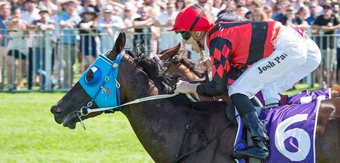 ozrace's tweet photo. ”The world’s her oyster as she has an enormous pedigree..."
Parr For The Course
READ MORE: https://t.co/ygV5jUbPun
#OceanJewel #JoshParr #Ascot @ozrace https://t.co/Rk6Zc6ACCE