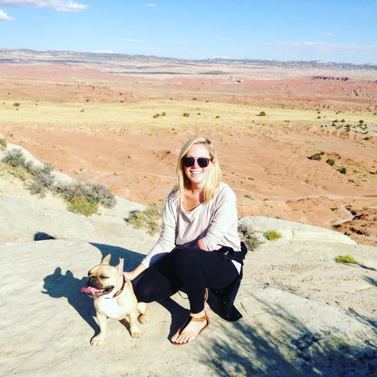 sarahherron's tweet image. There&apos;s still time to help an animal find it’s forever home this #Pawlidayz weekend with @AnimalLeague! #ZapposForPets, #Zappos  #Sponsored zps.to/b7dGV3gF