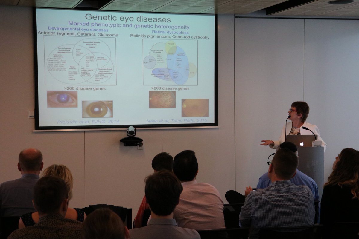 kinghorngenomes's tweet photo. Prof Robyn Jamieson @CMRI_AUS emphasising at #SGCSS17 that whole #genome sequencing #WGS enabled by @NSWHealth allows for exploration of regulatory and intronic sequences and enables examination of structural variants https://t.co/1QbAaWjnAe