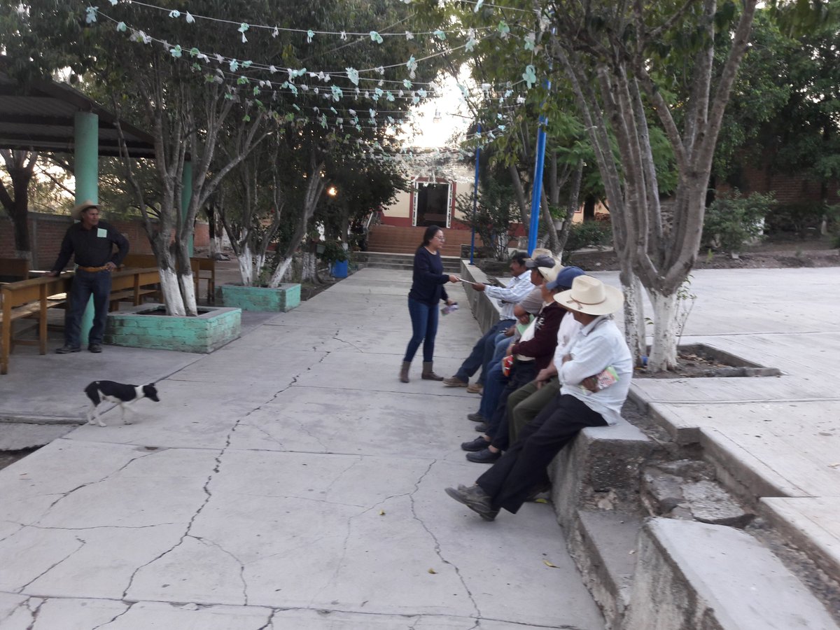 MarisolArregui2's tweet photo. Secadera: plaga del cultivo de trigo. Platica informativa con productores de Las Canoas, Salvatierra. @DesdeGto  @Bettyvaz2 https://t.co/c8wo0TQtdt