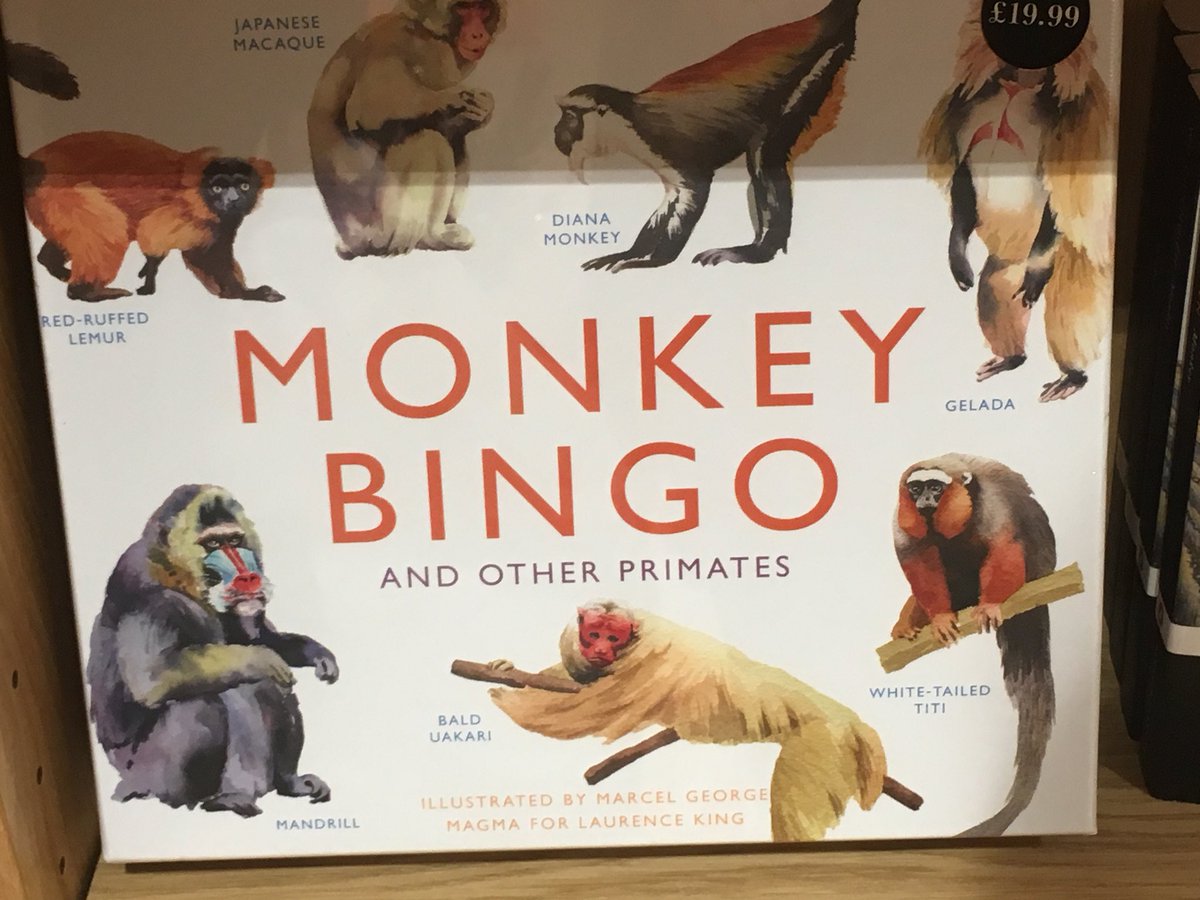 samleggs22's tweet photo. When you find the perfect teaching tool... 😂🐒 #monkeys #bioanth #cambridge #educationalgame #GradSchool #pedagogy #evolution #monkeybingo #teachingmoments #phdlife #christmaslist @UCamArchaeology @CamBioanth https://t.co/YFt7bk3BAC