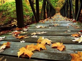 가을 바람에 오직 괴로이 읊나니 
온 세상에 나를 알아주는 이 적구나. 
깊은 밤 창 밖에는 비가 내리는데 
전등 앞 외로운 마음 만리를 달리네.