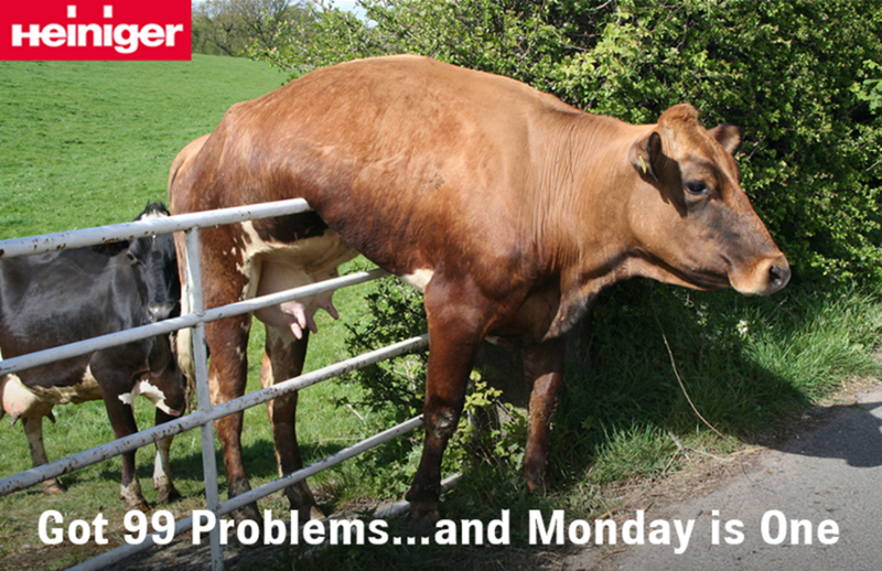 We hope everyone's week is off to a better start 😉.