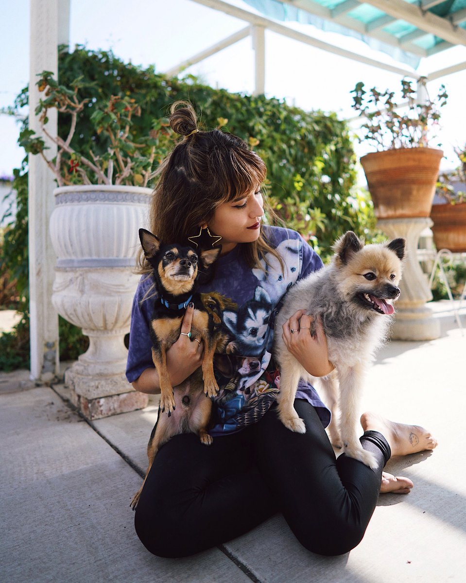 joellenlovee's tweet image. Lurv my two buggars &amp;amp; I’m so glad I adopted them ✨ #ZapposForPets is covering all adoption fees this season from North Shore Animal League America, the largest no-kill org. in the 🌏 zps.to/bOzixEJ9Happy Happy #Pawlidayz 🐾 from @Zappos and me! #Zappos #sponsored