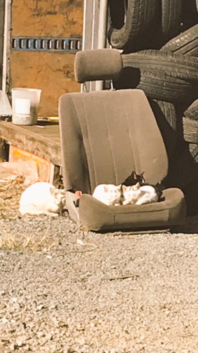 岡山エステｔrinity Rinity3 Twitter