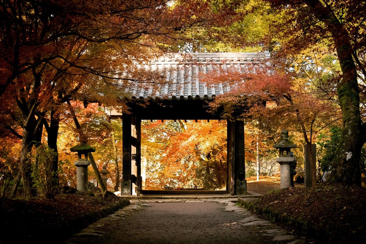 黒門茶屋 おはようございます 写真は27日 今朝の黒門 平日にも関わらずたくさんの方がお散歩や撮影など みなさんそれぞれ秋晴れの朝を楽しんでおりました 黒門茶屋 福岡県 朝倉市 秋月 秋月城跡 杉の馬場 紅葉 黒門 あさくらいふ Fukuoka 黒門茶屋 おはようございます 写真は27日 今朝の黒門 平日にも関わらずたくさんの方がお散歩や撮影など みなさんそれぞれ秋晴れの朝を楽しんでおりました 黒門茶屋 福岡県 朝倉市 秋月 秋月城跡 杉の馬場 紅葉 黒門 あさくらいふ Fukuoka