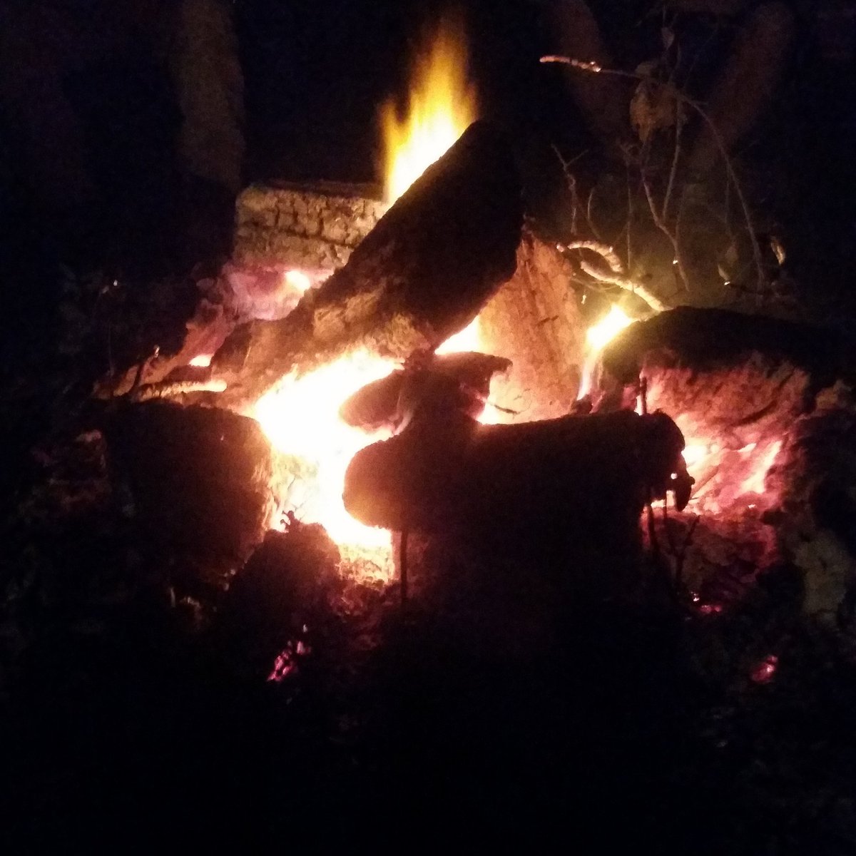 callie_whatley's tweet photo. Bonfire kinda night https://t.co/kiUbj2Krjg