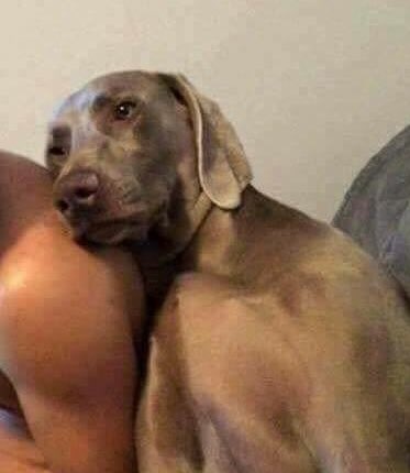 cuando tu mejor amigo se consigue a otro mejor amigo