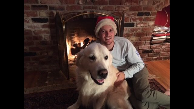 LauralPorter's tweet photo. My dog,Gifford, wrote my blog this week. He had a great holiday weekend. How about you? https://t.co/tfYZKvxyog https://t.co/ap1IbDqPNC