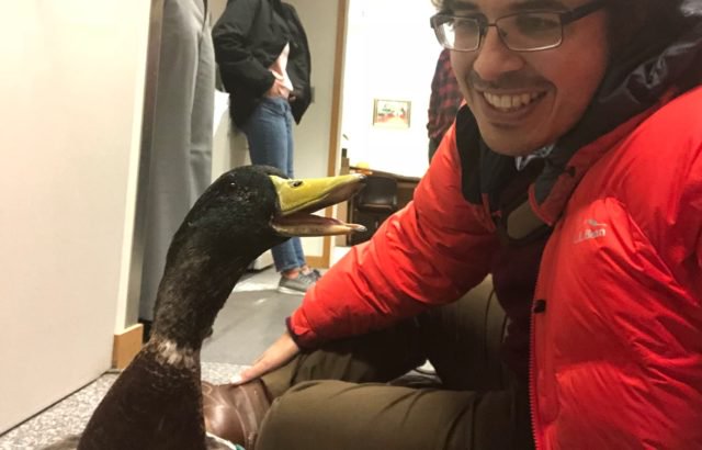 GreaterIowaCU's tweet photo. GIVING IDEA: Train your pets to be a therapy animal.
Therapy dogs have become a common sight in hospitals, nursing homes, and disaster areas, but what about a duck? Meet Webster, the therapy duck. https://t.co/eTgB14GV3X
#BringingSmiles #HangingWithTheCoolKids #GivingWeek2017 https://t.co/qZgkIK3pDv