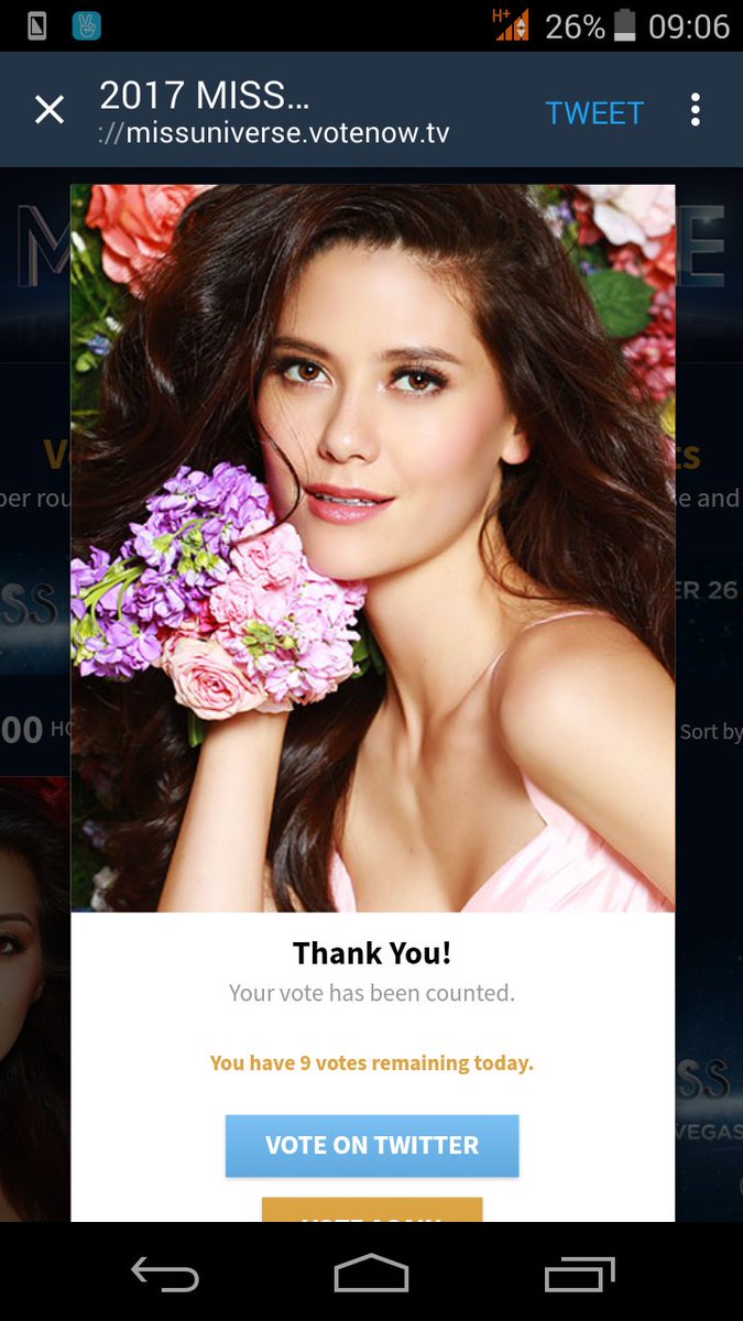 อยากเติมแมว tweet media