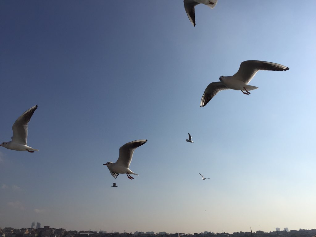 bmtsenter's tweet photo. https://t.co/CLj034LnPF