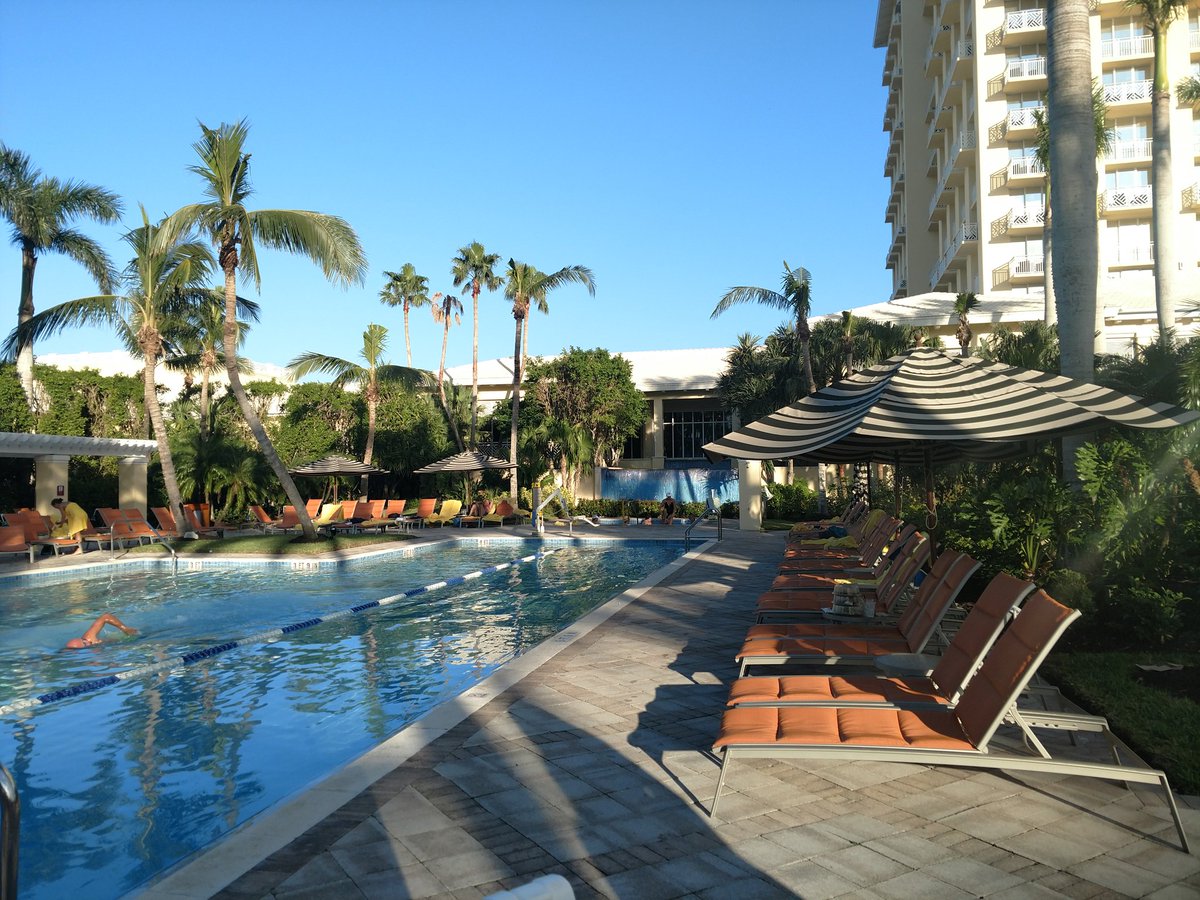 dssw34's tweet image. Enjoyed supporting @WMU_WBB this weekend in Florida!Good to see them battle! They played great competition, made team memories.. preparing for league play! Glad to see so many parents, alums and supporters in FL!
#wewillreign
#roadwarriors
#itwillpayoff
#lovemy23&amp;amp;34