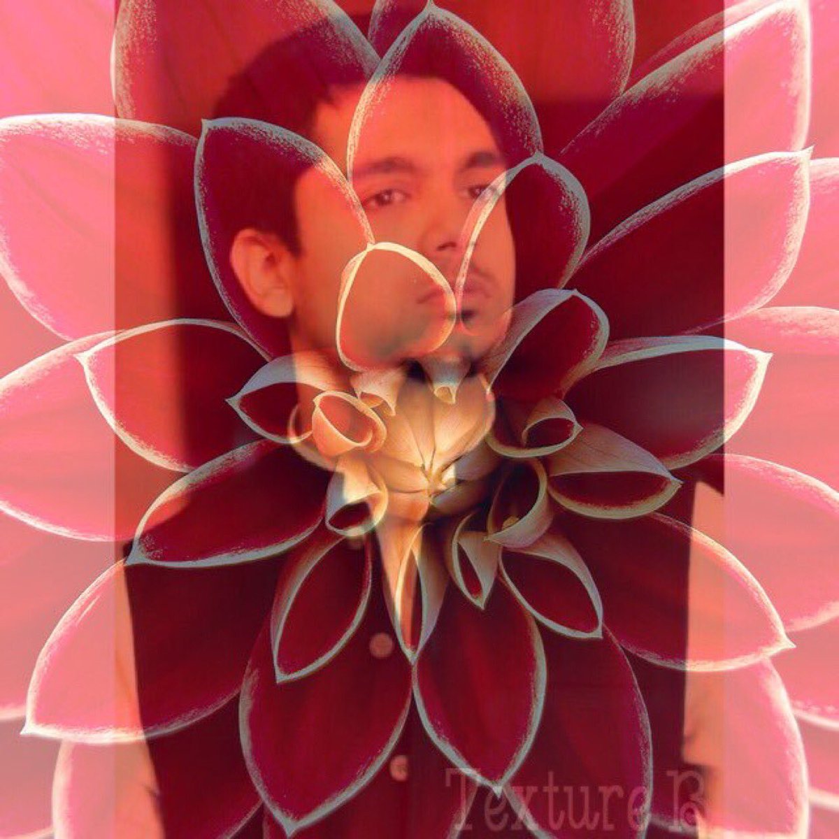 KaranDarraFC's tweet image. Good Morning @KaranDarra &amp;amp; Kdians , New Week And New Possibilities .. keep going forward ,👍”It’s the possibility of having a dream come true that makes life interesting “ Wishing all of you a super week ahead Cheers 💐
