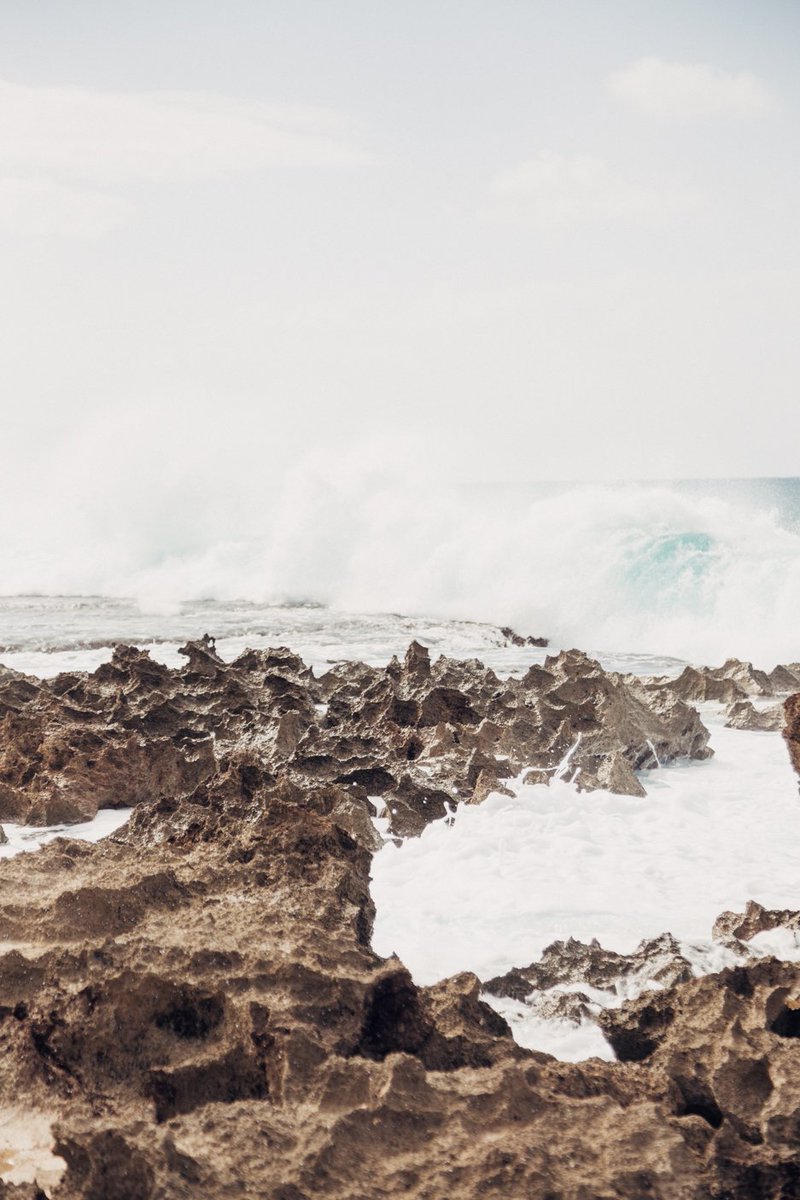 Happy Sunday Coconut friends! We hope you have a great and relaxing day!