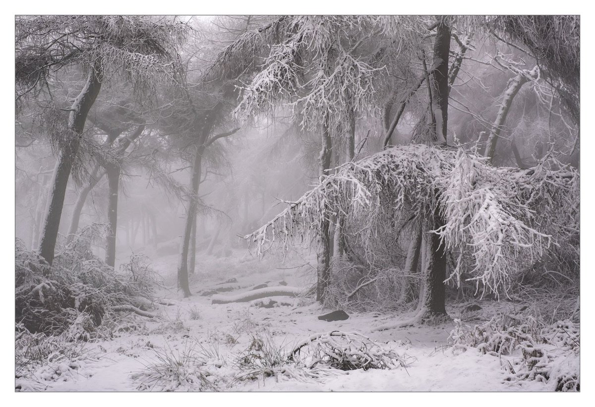 Davefphotos's tweet photo. A magical winter wonderland in the staffordshire #peakdistrict this weekend. My offering for #WexMondays and #fsprintmonday. https://t.co/kNdx4wCBUS