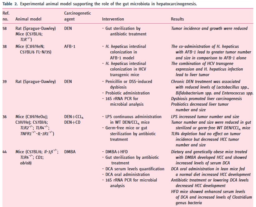 my_ueg's tweet photo. This manuscript of the UEG Journal Novemer issue reviews the human and  the experimental evidence supporting the potential implication of gut  microbiota in the promotion, progression and complication of liver  disease. Don't miss this highlight article! https://t.co/9gpZT6TqVb https://t.co/r07qCTeifa