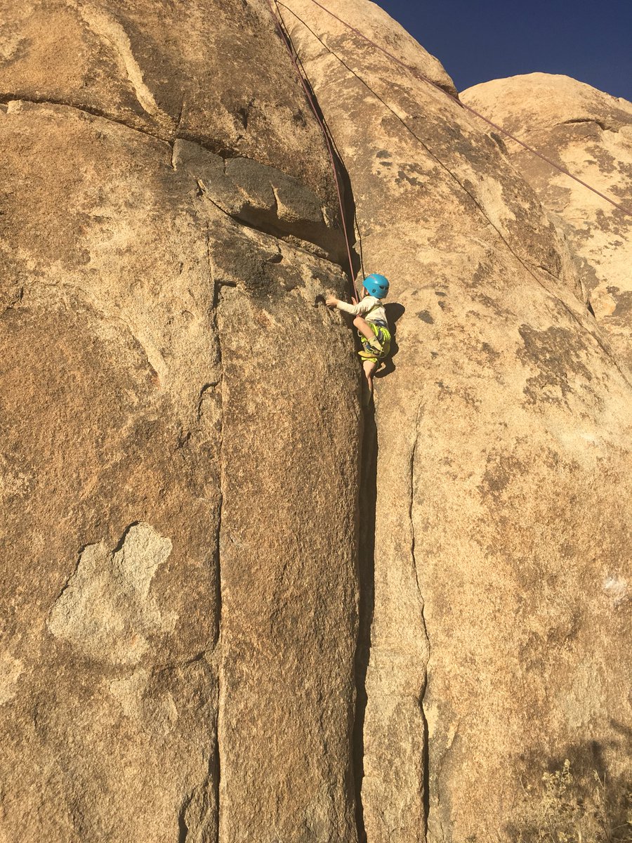 m_mccoskey's tweet photo. Always inspiring to see Wyatt’s joy as he flies up these rocks. #JoshuaTreeNP #RockClimbing https://t.co/7bekV7so0l