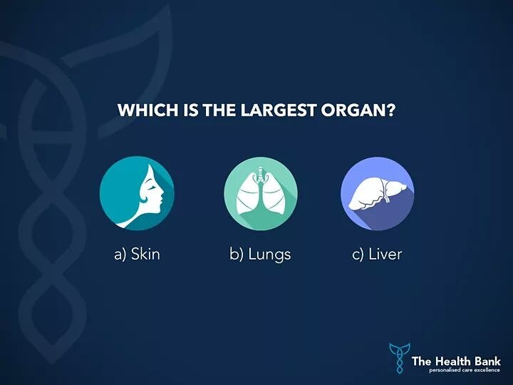 THBglobal tweet media