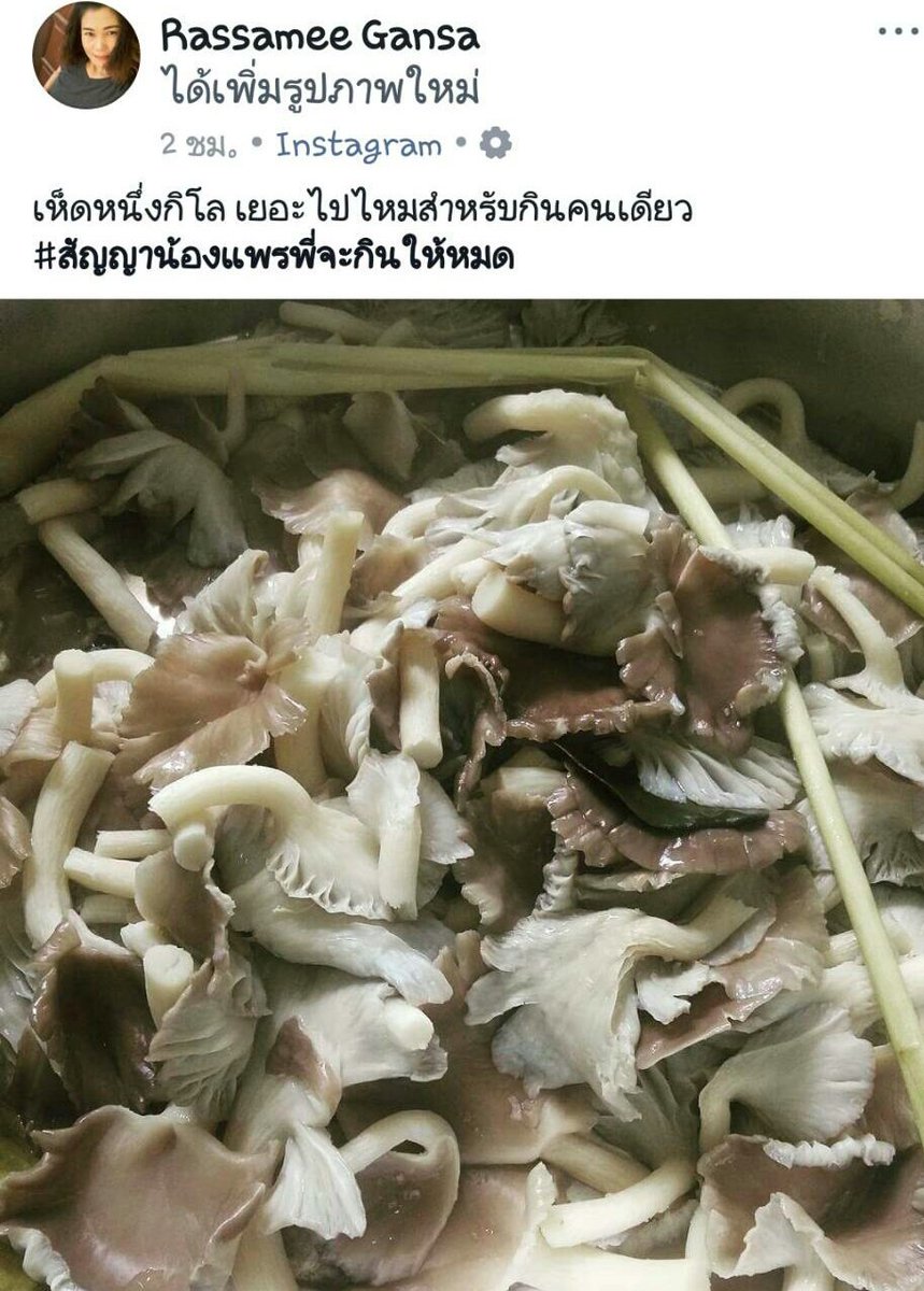 kanthacha1's tweet photo. 1 กิโล รับไปเมื่อเช้านึ่งกันสดๆ รสชาติเริ้สสสล้ำ ขอบคุณพี่รัตน์นะคร้า  #แหนมหมูเห็ด #น้ำพริกเห็ด #ยัยแพรเก็บเห็ด #เฮ็ดเห็ด #HedHed #เห็ดบ้านเราเอง #พื้นที่เล็กๆหน้าบ้านช้าน #เฮือนเห็ด #อยากกินรัยปลูกเองกินเอง #อยากกินเห็ดบอกเรา #ขายเห็ดสด #บานปุ๊บเด็ดปั๊บ #สดกว่านี้ก็คนขายแล้วล่ะ https://t.co/brXMRu2wAI