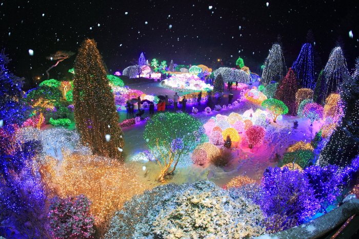 Kor_Visitkorea's tweet photo. 추운 겨울밤을 따스하게 녹여줄 별빛 축제, #가평 #아침고요수목원 #오색별빛정원전 (*≧o≦)੭💛 10만여 평의 야외 정원 곳곳에 예쁨이 가득! 12월 8일부터 3월 25일까지 만날 수 있어요. ▷경기도 가평군 상면 수목원로 432 (상면) ▷https://t.co/evjDahy9e5 https://t.co/MBEeJ5HMp1