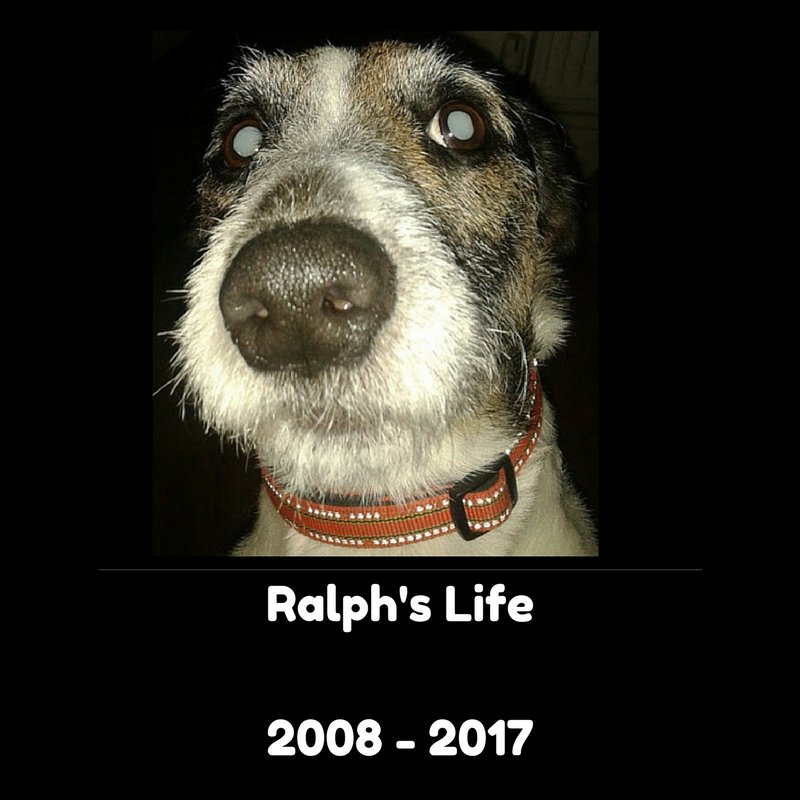 fruitbatwalton's tweet photo. Ladies and Gentlemen...

Ralph has left the building...

Thank you very much... https://t.co/JGQammr7Rb