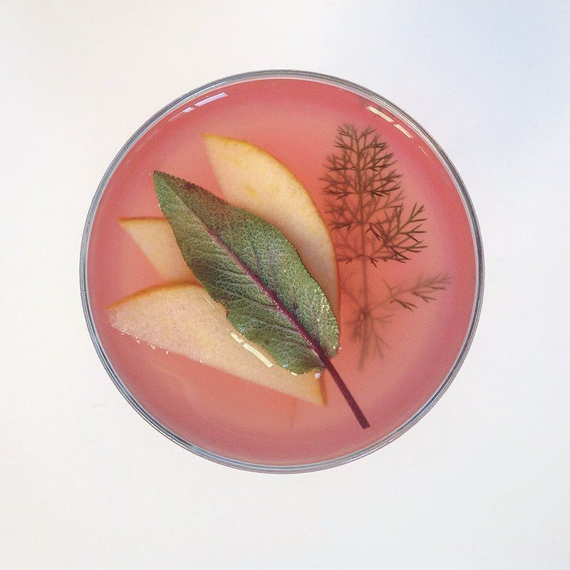 Hot spiced Pink Apple and Sage Gin #winter #cocktail #wintercocktails  #gin #hotgin #mulledspice #mulled #christmas #partytime #christmasparty #officeparty #mobilecocktailbar ift.tt/2ABA34J