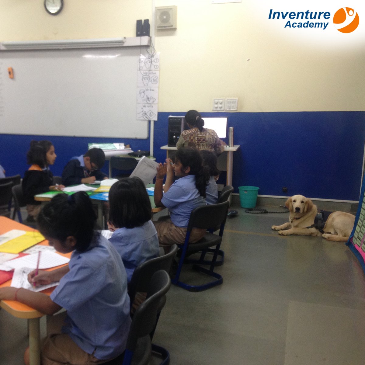 InventureK12's tweet photo. Inventurer pups provided food for thought to the 2nd graders who were finding it difficult to write a short story on a topic of their choice. Read more: https://t.co/gRkknD9Zoo
#animalassistededucation #animalassistedtherapy #animalassistedcounseling #dogsinschool #fourfooted https://t.co/wlWww1yFCq