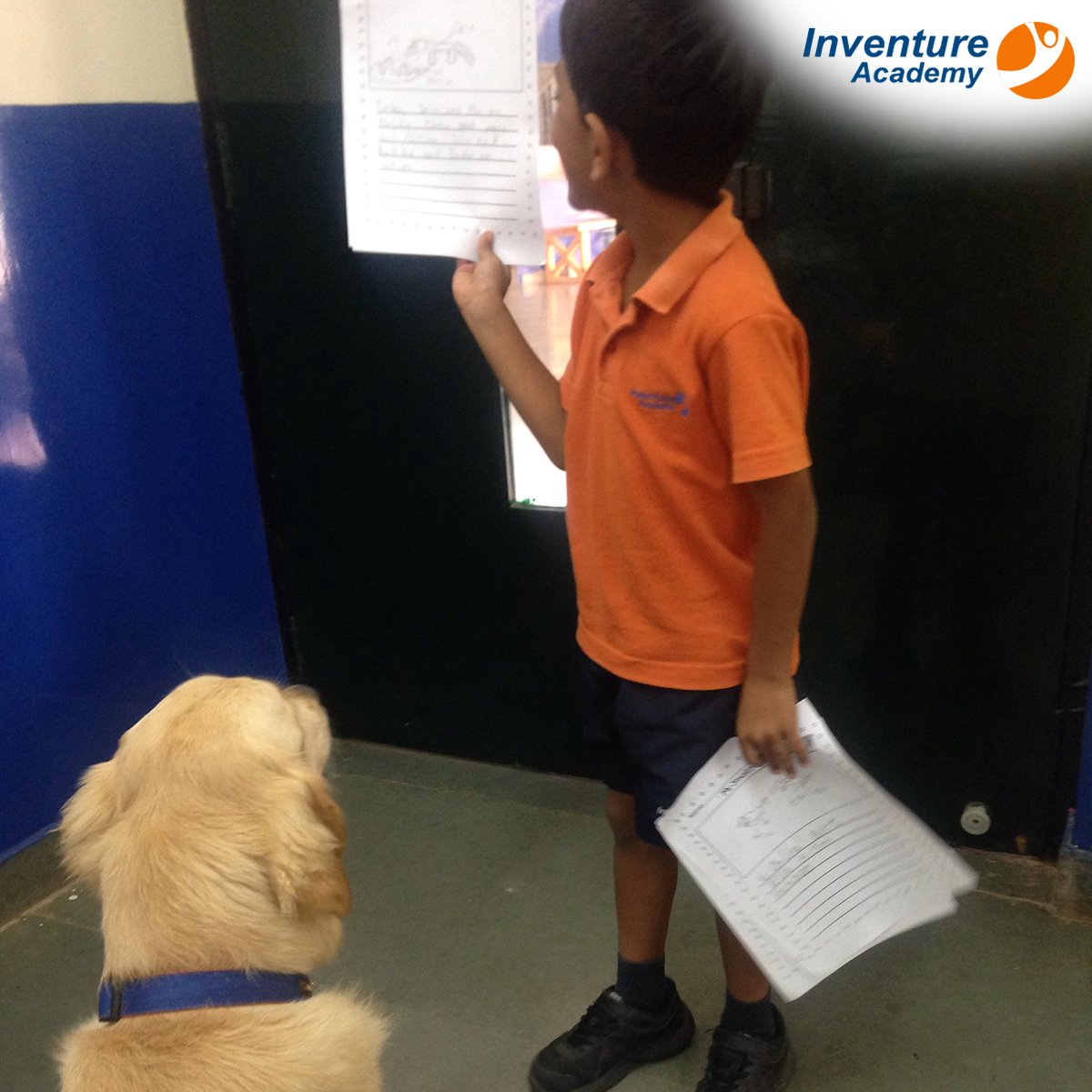 InventureK12's tweet photo. Inventurer pups provided food for thought to the 2nd graders who were finding it difficult to write a short story on a topic of their choice. Read more: https://t.co/gRkknD9Zoo
#animalassistededucation #animalassistedtherapy #animalassistedcounseling #dogsinschool #fourfooted https://t.co/wlWww1yFCq