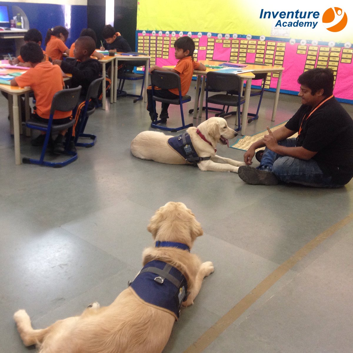 InventureK12's tweet photo. Inventurer pups provided food for thought to the 2nd graders who were finding it difficult to write a short story on a topic of their choice. Read more: https://t.co/gRkknD9Zoo
#animalassistededucation #animalassistedtherapy #animalassistedcounseling #dogsinschool #fourfooted https://t.co/wlWww1yFCq