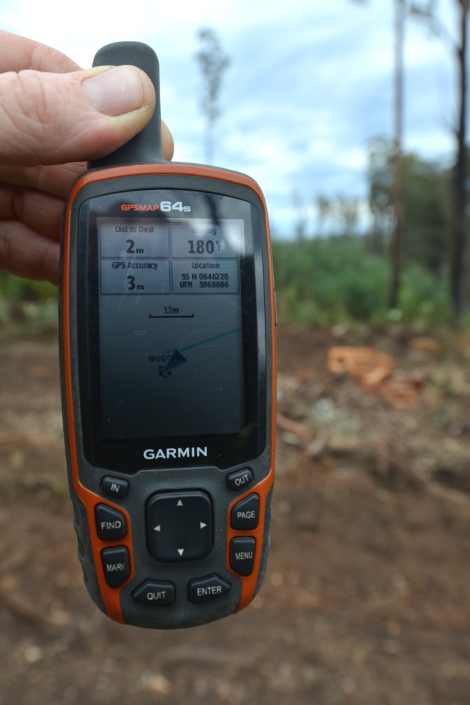 eastgippyforest's tweet photo. .@LilyDAmbrosioMP it's sad you abandoned your responsibilities for FFG Act listed species that scientific advisors told you to protect from logging.

@DELWP_Vic found greater gliders at Mt. Jersey. This week VicForests illegally logged the site. Please do you job #SpringSt https://t.co/l9XHYC4MpD