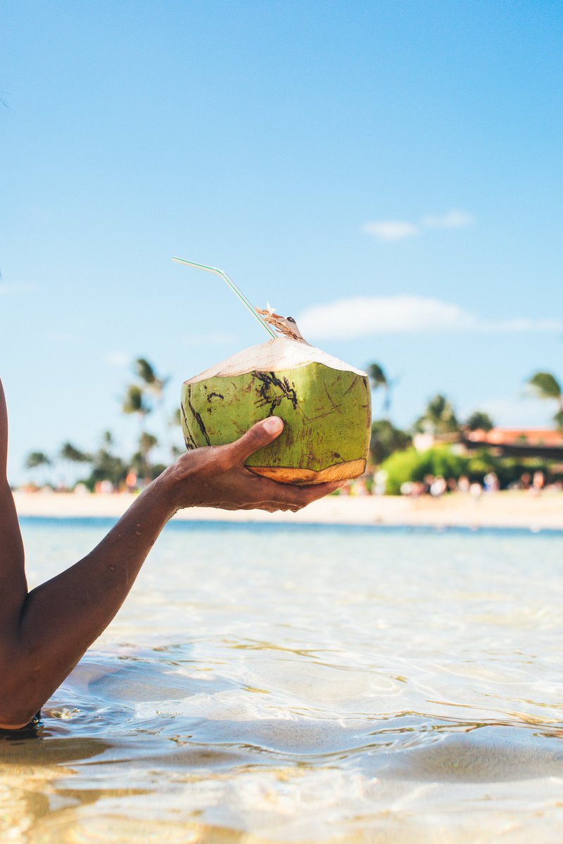 RADreamTravel's tweet photo. Forget the winter, #GoHawaii and drink #CoconutJuice #Travel #ClearBeaches #PictureoftheDay Credit: Hawaii Tourism Authority / Mark Kushimi https://t.co/MmAphX84zK