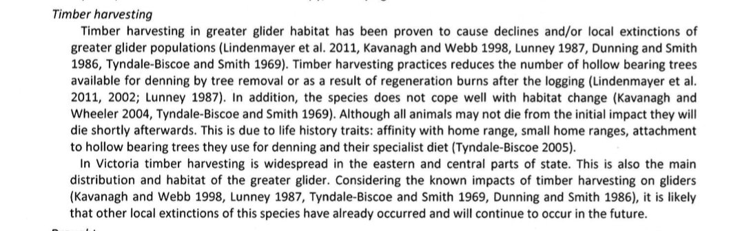 eastgippyforest's tweet photo. .@LilyDAmbrosioMP it's sad you abandoned your responsibilities for FFG Act listed species that scientific advisors told you to protect from logging.

@DELWP_Vic found greater gliders at Mt. Jersey. This week VicForests illegally logged the site. Please do you job #SpringSt https://t.co/l9XHYC4MpD