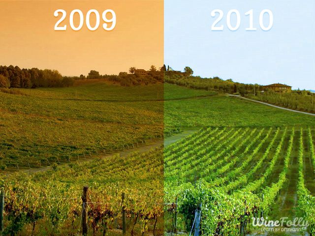 Wine Folly tweet media