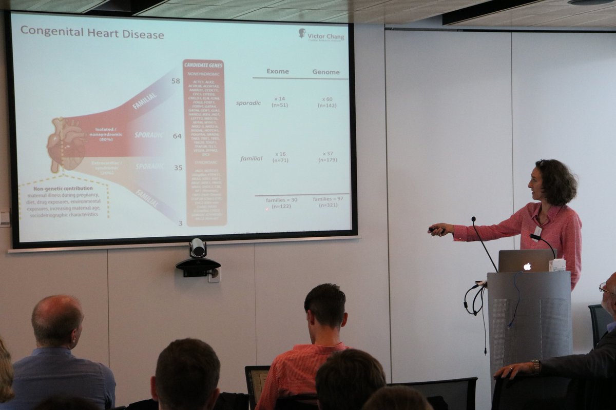 kinghorngenomes's tweet photo. Prof Sally Dunwoodie from @VictorChangInst talking through @NSWHealth #genomics collaborative grant work identifying #genetic causes of congenital heart disease. A 'fishing trip' for monogenic causes with #WGS found additional actionable SNVs and identified CNVs #SGCSS17. https://t.co/bVePzb0Mxm